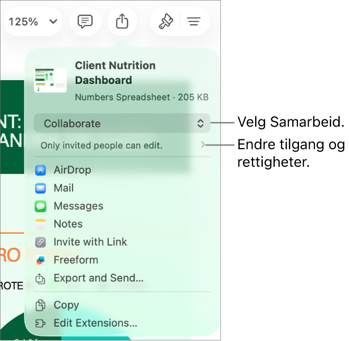 Del-menyen med Samarbeid markert øverst, og tilgangs- og tillatelsesinnstillingene under.