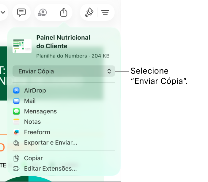 Menu Compartilhar com “Enviar Cópia” selecionado na parte superior.
