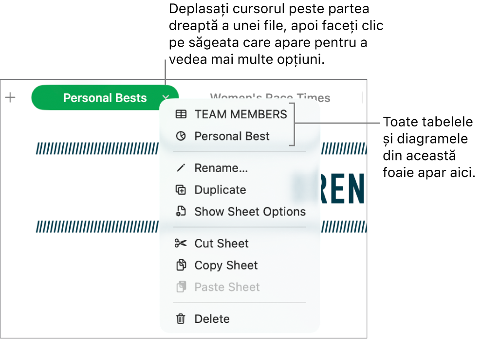 O filă de foaie de calcul cu meniul de scurtături deschis, afișând opțiuni inclusiv Duplică.