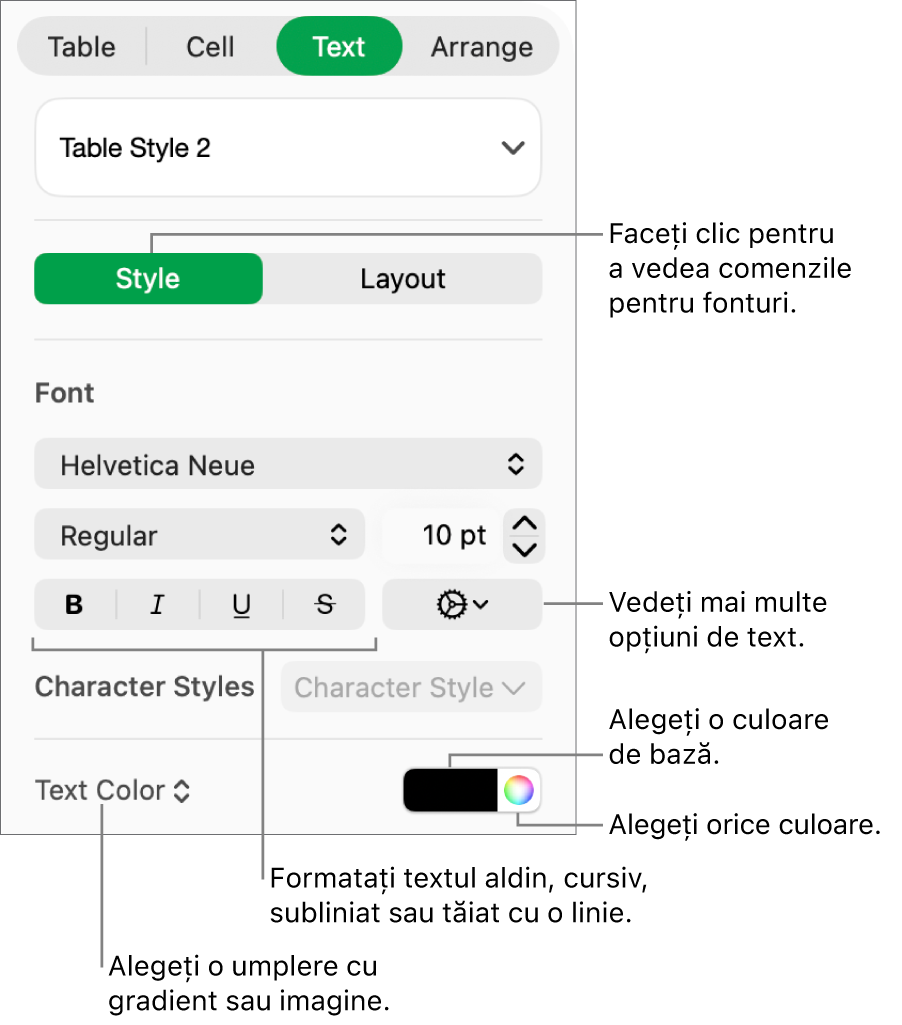 Comenzile pentru stilul textului din tabel.