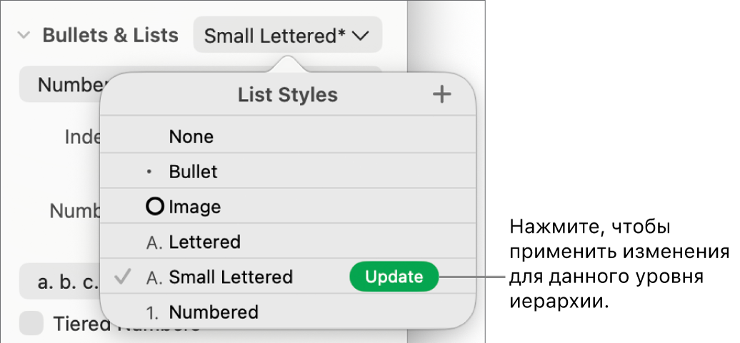 Всплывающее меню «Стили списков». Рядом с именем нового стиля отображается кнопка «Обновить».