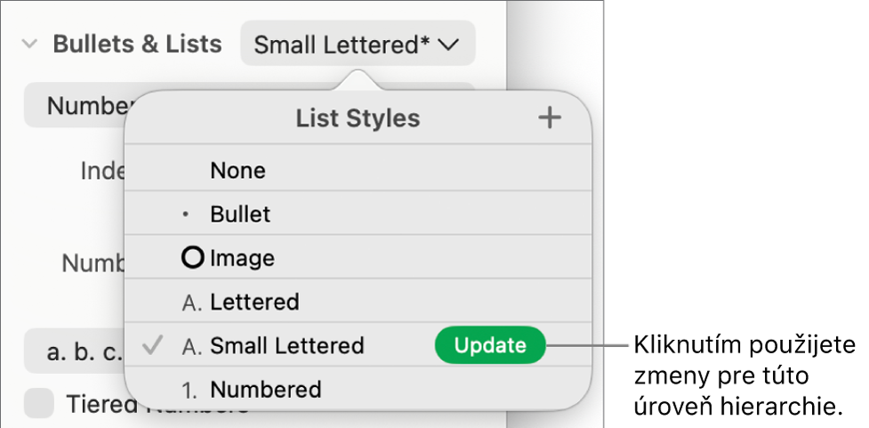 Vyskakovacie menu Štýly zoznamu s tlačidlom Aktualizovať vedľa názvu nového štýlu.