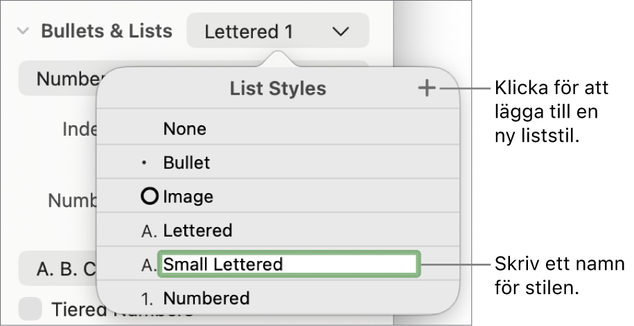 Popupmenyn Liststilar med en lägg till-knapp i det övre högra hörnet och ett platshållarstilnamn med markerad text.