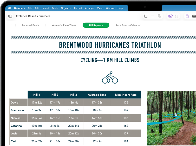 Ett kalkylblad med information om vandringar där bladnamnen visas högt upp på skärmen. Knappen för att lägga till blad är till vänster, följd av bladflikar för vandringsschema, höjd över havet, vandringssegment, utrustning och mat. Bladet för höjd är markerat.