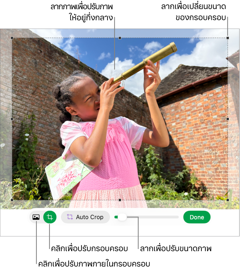 ตัวควบคุมการครอบที่อยู่เหนือรูปภาพ