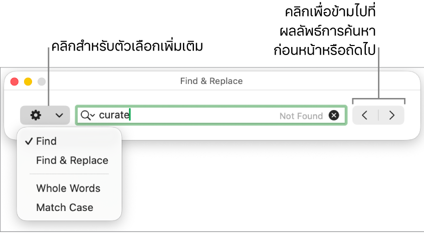 หน้าต่างค้นหาและแทนที่พร้อมเมนูที่แสดงขึ้นที่แสดงตัวเลือกสำหรับค้นหา ค้นหาและแทนที่ ทั้งคำ และตัวใหญ่เล็กตรงกัน ลูกศรด้านขวาทำให้คุณสามารถข้ามไปที่ผลการค้นหาก่อนหน้าหรือถัดไปได้
