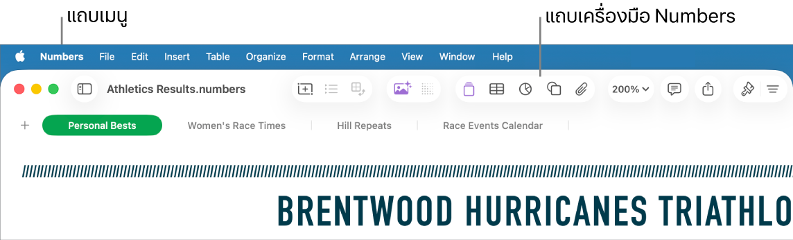 แถบเมนูที่ด้านบนสุดของหน้าจอ พร้อมเมนู Apple, Numbers, ไฟล์, แก้ไข, แทรก, ตาราง, จัดระเบียบ, รูปแบบ, จัดเรียง, มุมมอง, หน้าต่าง และวิธีใช้ ด้านล่างแถบเมนูเป็นสเปรดชีต Numbers ซึ่งเปิดอยู่ โดยมีปุ่มต่างๆ ของแถบเครื่องมืออยู่ที่ด้านบนสุด ซึ่งได้แก่ มุมมอง, ซูม, เพิ่มหมวดหมู่, ตารางแบบ Pivot, แทรก, ตาราง, แผนภูมิ และข้อความ