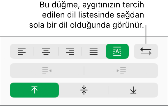 Biçim kenar çubuğunun Hizalama bölümünde Paragraf Yönü düğmesi.