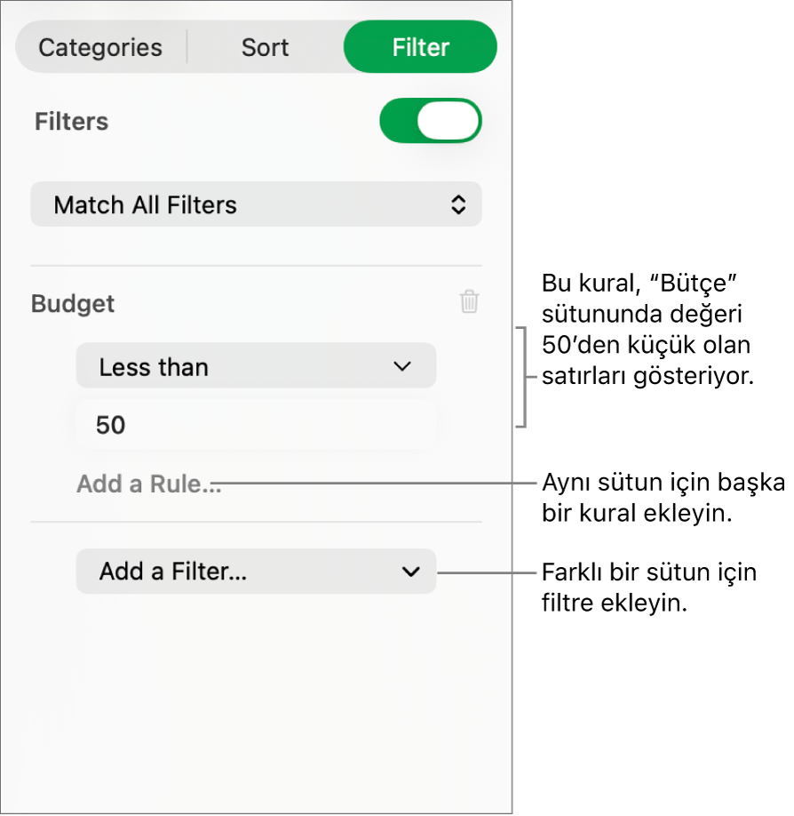 Filtreleme kuralları yaratmaya yönelik denetimler.