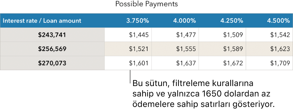 Karşılanabilir faiz oranları için filtre uygulandıktan sonra görünen ev kredisi tablosu.