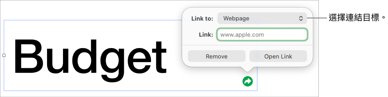 連結編輯器控制項目,其中已選取「網頁」,而「移除」和「開啟連結」按鈕則位於底部。