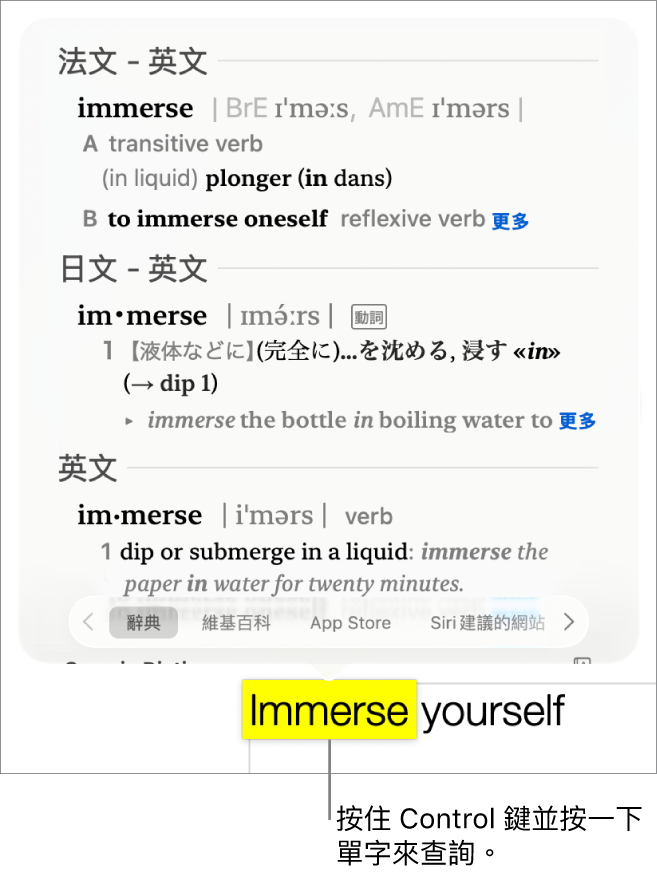 含有反白單字的文字和視窗會顯示其定義和同義詞詞條。視窗底部的三個按鈕提供了字典、維基百科和 Siri 建議網站的連結。