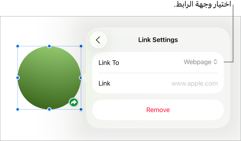 عناصر التحكم في إعدادات الرابط تعرض خيار صفحة الويب محددًا ويظهر زر إزالة في الأسفل.