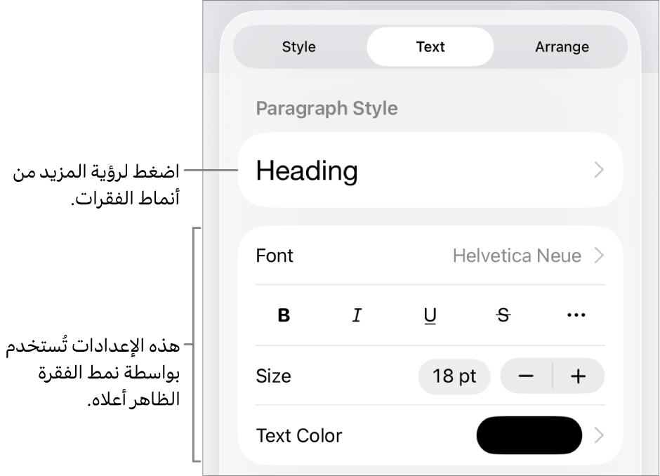 القائمة تنسيق تعرض عناصر التحكم في النص لإعداد أنماط الأحرف والفقرات والخط والحجم واللون.