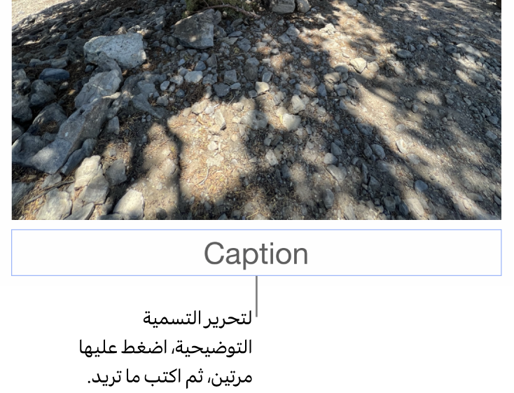 تظهر التسمية التوضيحية للعنصر النائب، "التسمية التوضيحية"، أسفل صورة؛ يوضح تخطيط أزرق حول حقل التسمية التوضيحية أنه محدد.
