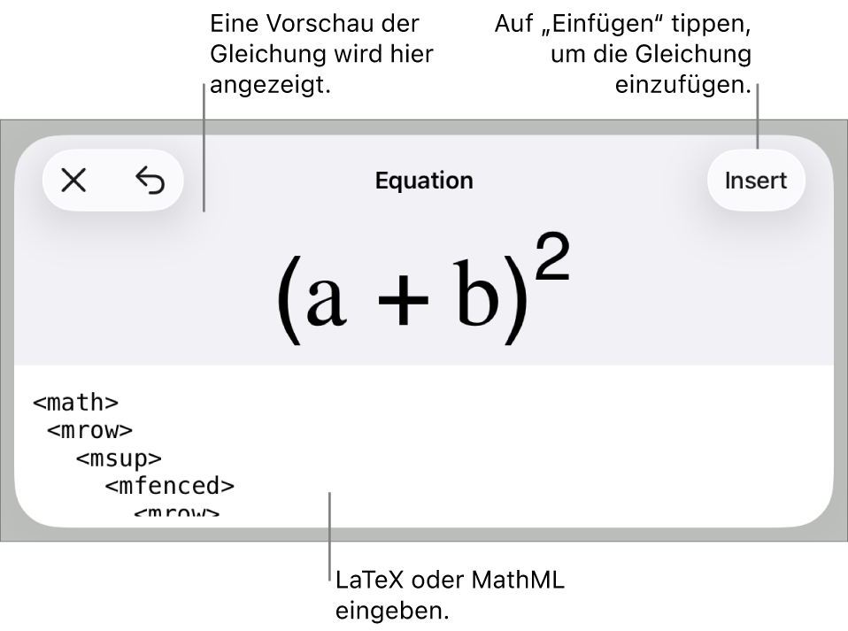 Im Dialogfenster „Gleichung“ wird eine Gleichung angezeigt, die mit MathML-Befehlen geschrieben wurde, darüber wird eine Vorschau der Formel angezeigt.