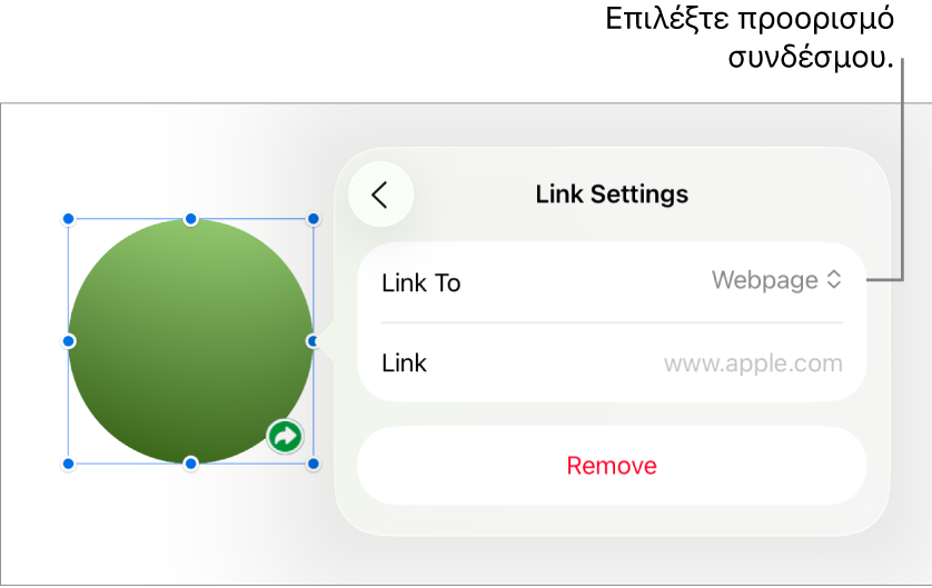 Τα στοιχεία ελέγχου «Ρυθμίσεις συνδέσμων» με επιλεγμένη την «Ιστοσελίδα», και το κουμπί «Αφαίρεση» στο κάτω μέρος.