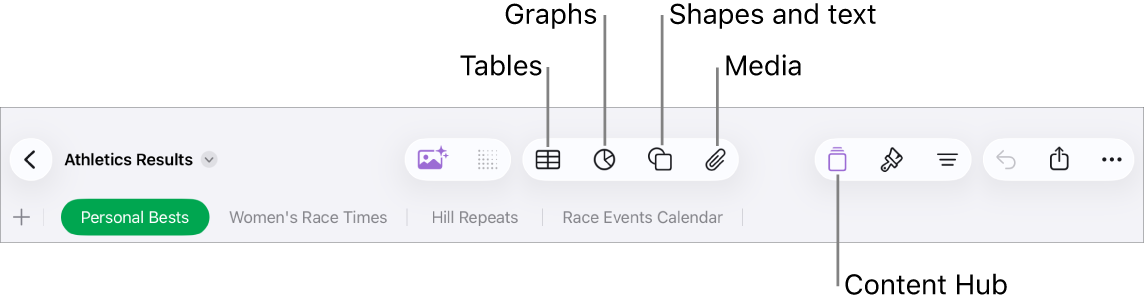 The controls for adding an object, with buttons at the top to select tables, graphs, shapes (including lines and text boxes), and media.