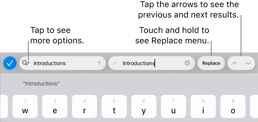 The Find & Replace controls above the keyboard with callouts to the Search Options, Replace, Go Up and Go Down buttons.