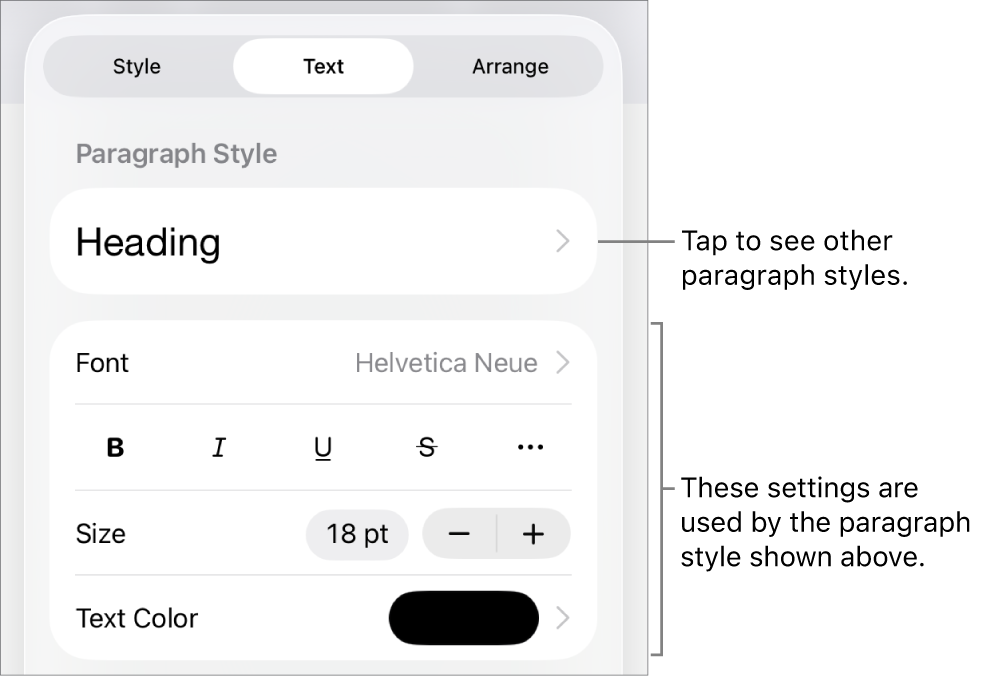 The Format menu showing text controls for setting paragraph and character styles, font, size, and color.