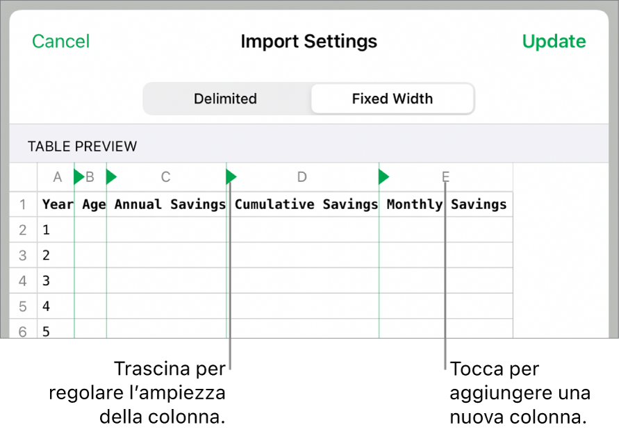 Impostazioni di importazione per un file di testo a larghezza fissa.