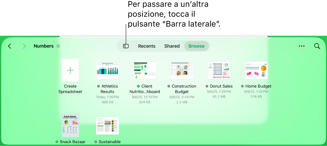 Vista sfoglia del gestore documenti con un link a una posizione nell’angolo superiore sinistro e al di sotto un campo Cerca. Nell’angolo in alto a destra sono presenti il pulsante “Aggiungi foglio di calcolo”, il pulsante “Nuova cartella”, un menu a comparsa per la vista elenco o la vista a icone, un menu per filtrare per nome, data, dimensioni, tipo e tag e il pulsante Seleziona. Sotto sono visibili le miniature dei fogli di calcolo esistenti.