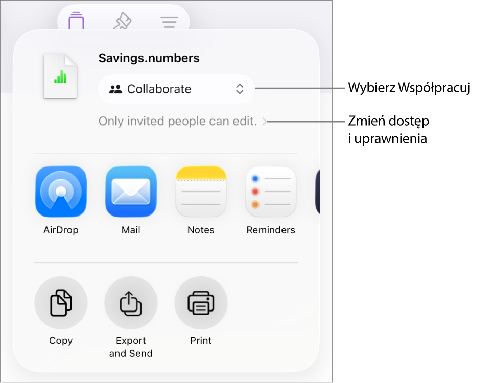 Menu udostępniania z opcją Współpracuj wybraną u góry oraz ustawieniami dostępu i uprawnień poniżej.
