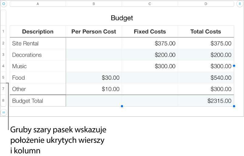 Gruby szary pasek wskazujący ukryte wiersze i kolumny