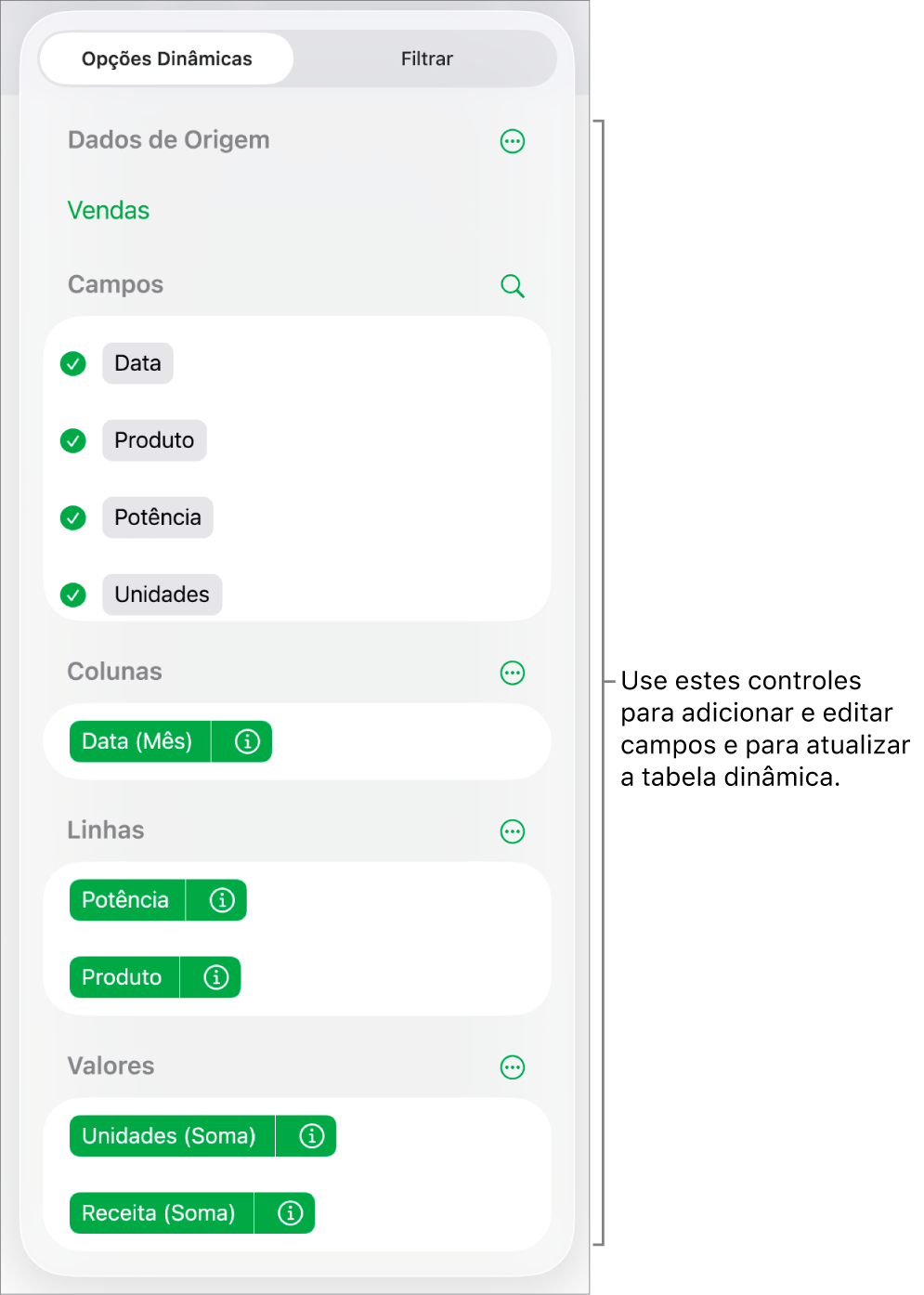 Menu Opções Dinâmicas mostrando campos das seções Colunas, Linhas e Valores, bem como controles para editar os campos.