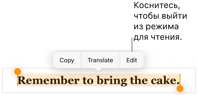 Выбрано предложение; над ним отображается контекстное меню с кнопками «Скопировать» и «Правка».