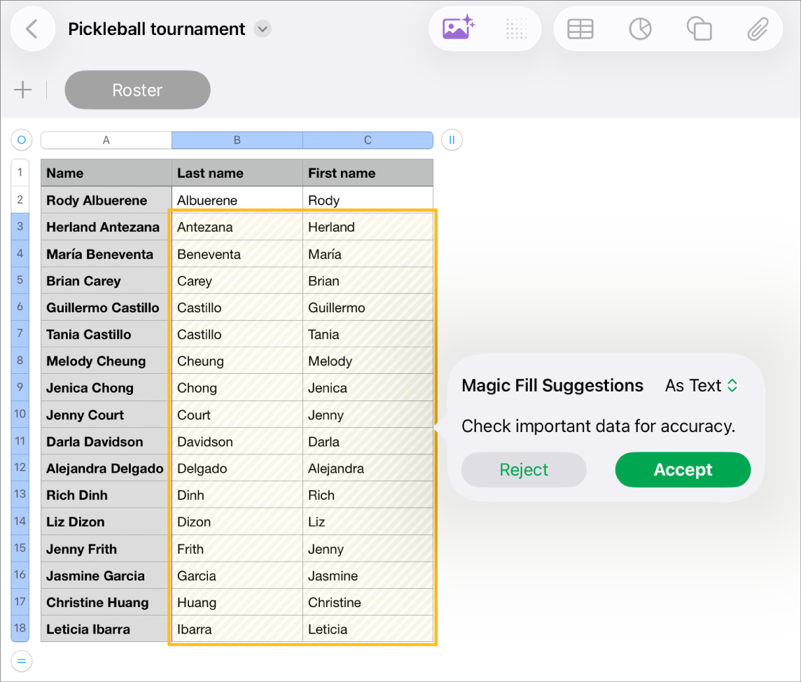 Bir hesap tablosunda vurgulanan adlar ve onları kabul etmek veya reddetmek için kullanılabilecek Sihirli Doldurma Önerileri açılır menüsü var.