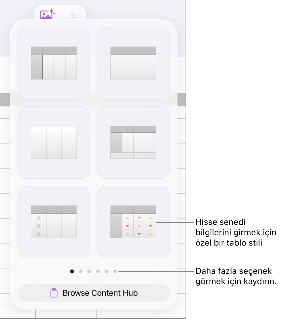 Sağ alt köşede hisse senedi bilgilerini girmek için kullanılabilecek özel bir stille tablo stillerinin küçük resimlerini gösteren tablo üst öğesi. En alttaki altı nokta daha fazla stil görmek için kaydırabileceğinizi belirtir.
