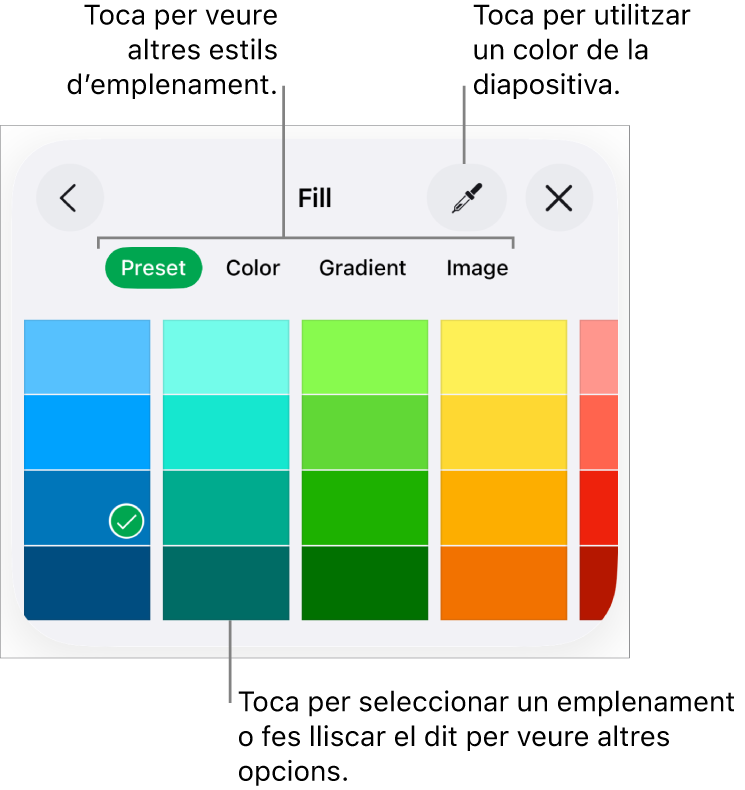 Opcions d’emplenament de la pestanya Estil del botó Format.