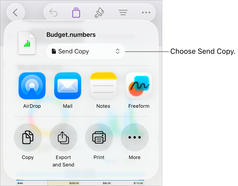 The Share menu with Send Copy selected at the top.