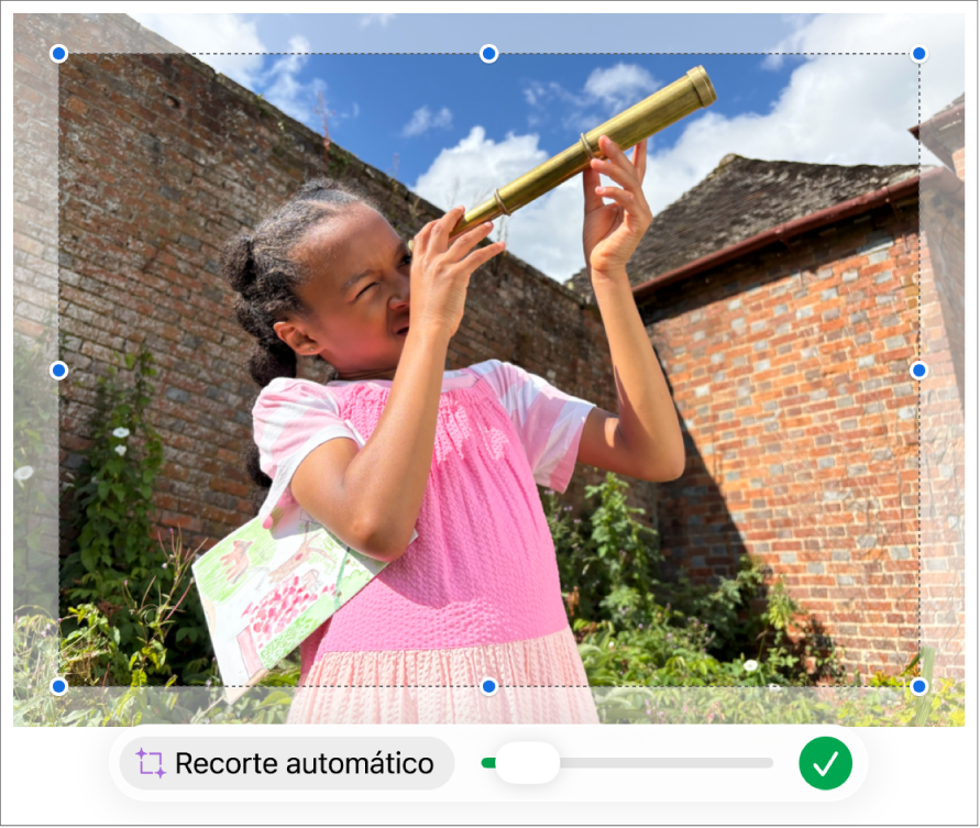 Imagen que muestra cómo usar una máscara para recortar una foto.