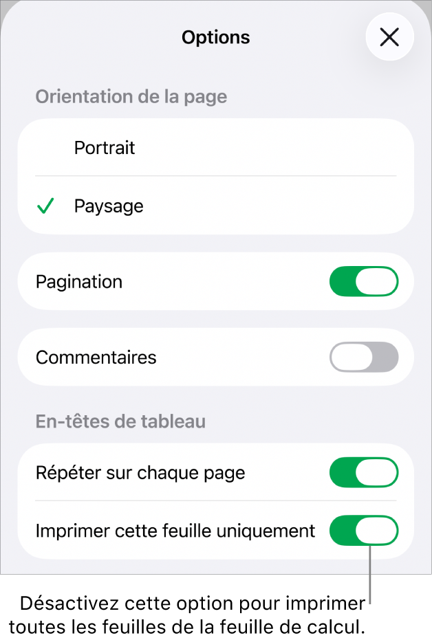 Options d’impression permettant de choisir l’orientation de la page, d’afficher les numéros de page et les en-têtes, et de choisir le format du papier et les pages à imprimer.