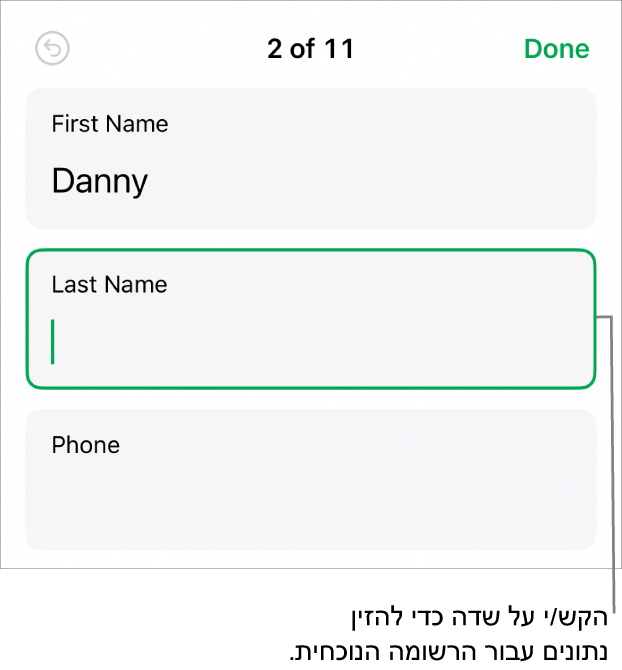רשומה בטופס המציגה שדה פעיל עם נקודת כניסה.