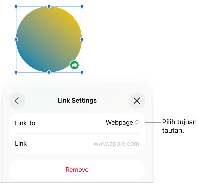Kontrol Pengaturan Tautan dengan Halaman Web dipilih, dan tombol Hapus di bagian bawah.