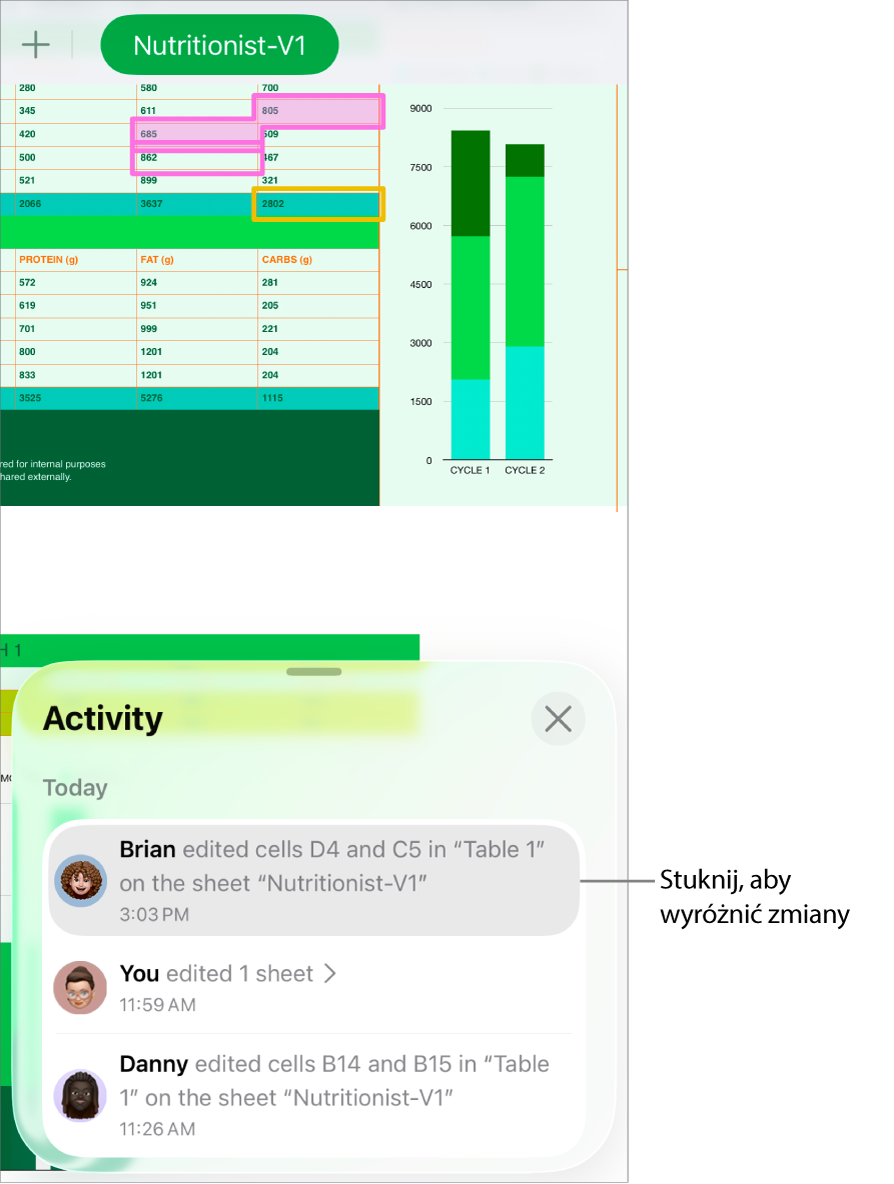Opracowywany wspólnie arkusz z otwartym menu współpracy i listą aktywności.