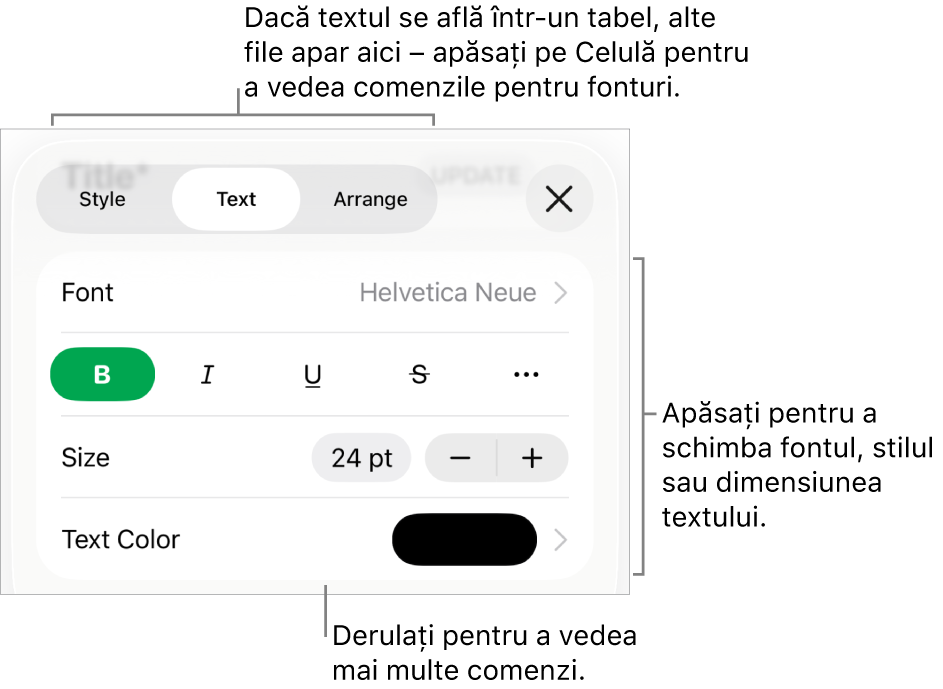 Comenzi text din meniul Format pentru configurarea paragrafelor și a stilurilor, fonturilor, dimensiunii și culorii caracterelor.