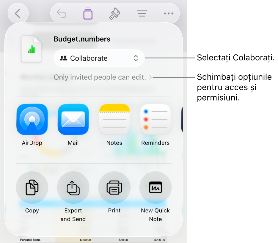 Meniul Partajați, cu opțiunea Colaborați selectată în partea de sus și configurările de acces și permisiune dedesubt.