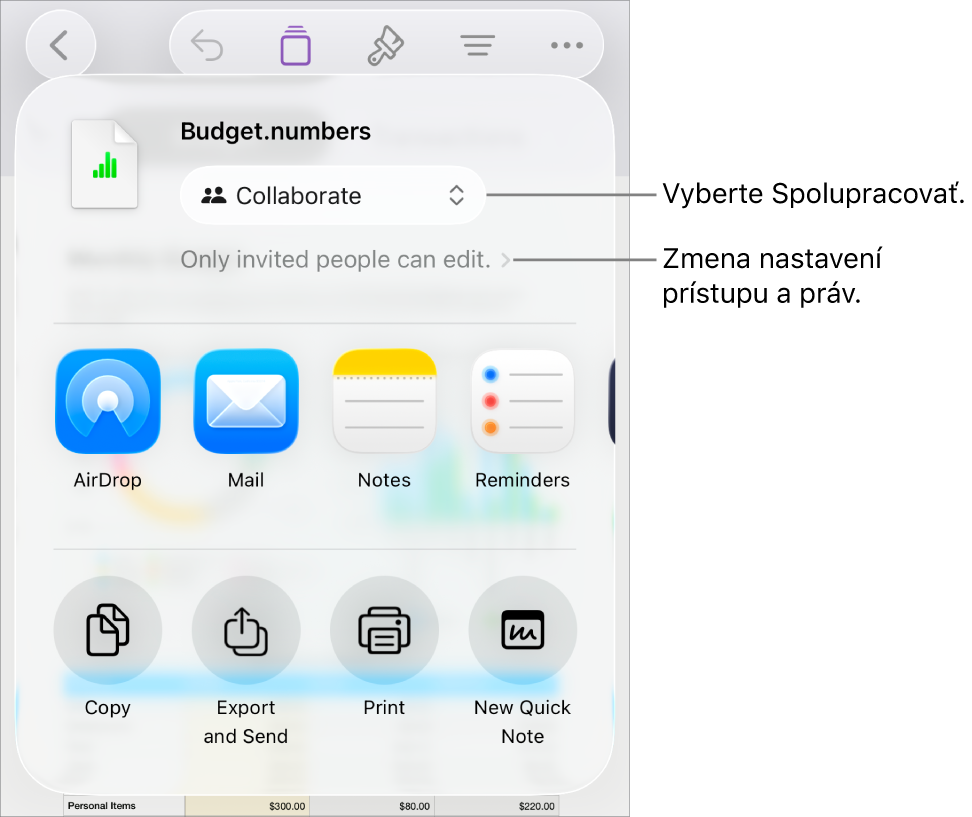 Menu Zdieľať s vybranou možnosťou Spolupracovať navrchu a pod ňou sa nachádzajú nastavenia prístupu a povolení.
