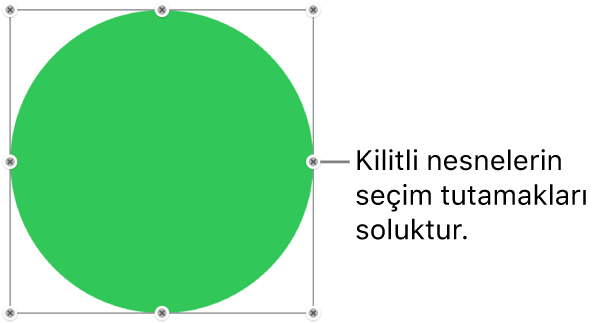 Soluk seçim tutamakları bulunan kilitli nesne.