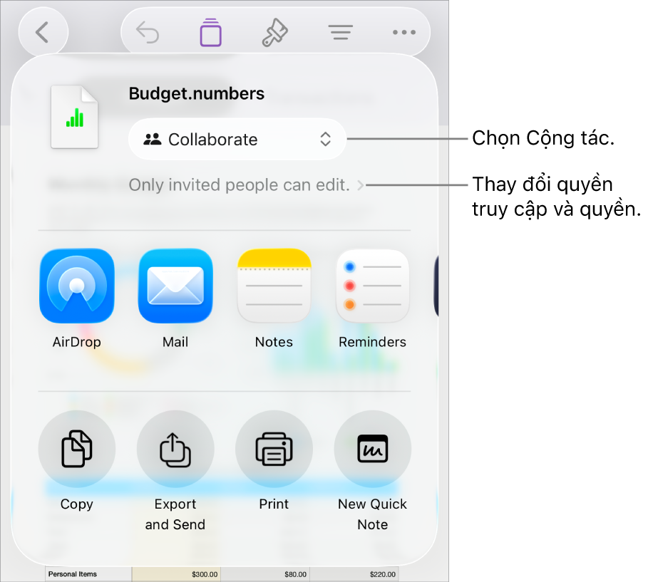 Menu Chia sẻ với Cộng tác được chọn ở trên cùng và các cài đặt quyền truy cập và quyền ở bên dưới.