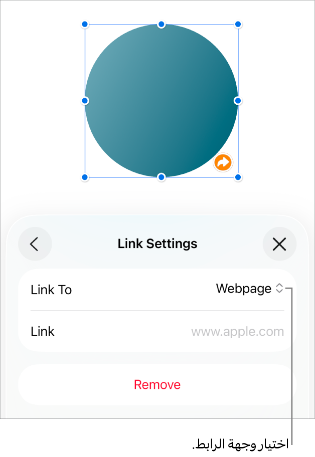 عناصر التحكم في إعدادات الرابط تعرض خيار صفحة الويب محددًا ويظهر زر إزالة في الأسفل.