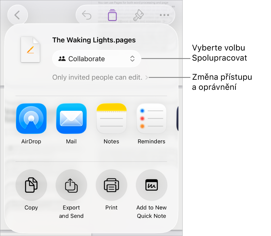 Nabídka sdílení, v níž je nahoře vidět vybraná volba Spolupracovat a pod ní volby pro nastavení přístupu a oprávnění
