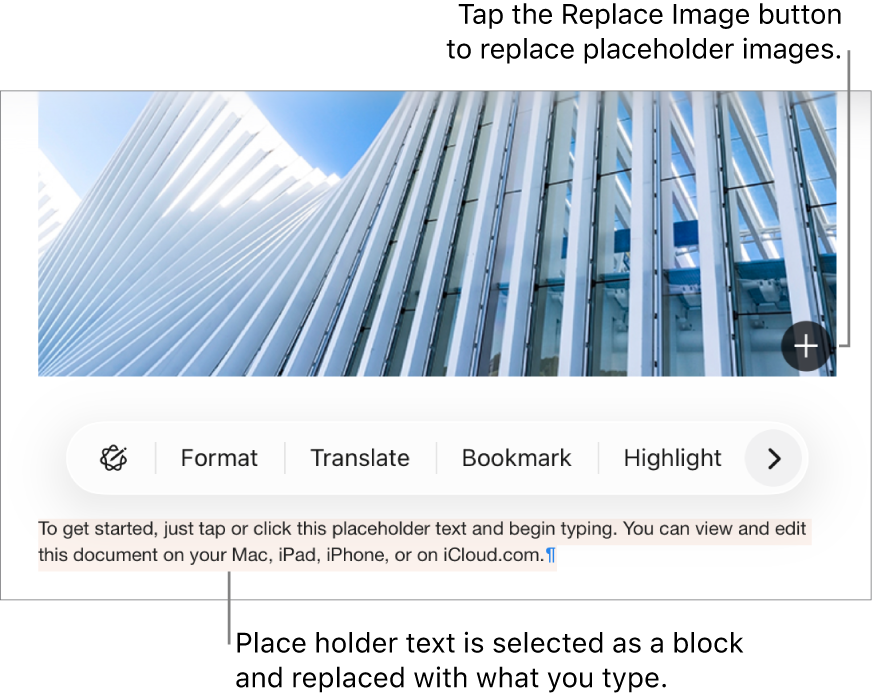 Place holder text and images.