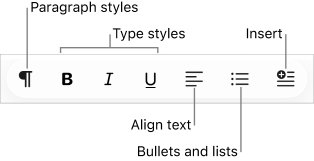 The Quick Format bar, showing icons for paragraph styles, type styles, text alignment, bullets and lists, and inserting elements.