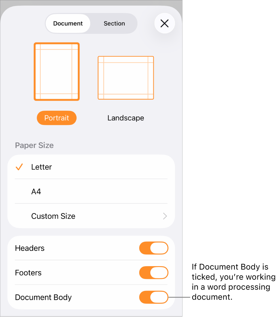 Document Setup open with Document Body checked in a word processing document.