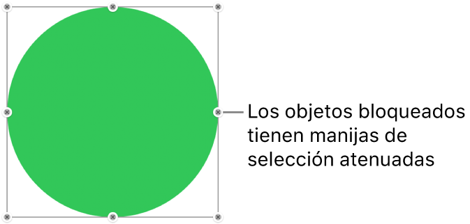 Un objeto bloqueado con manijas de selección atenuadas.
